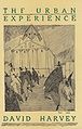 Consciousness and the Urban Experience.jpg